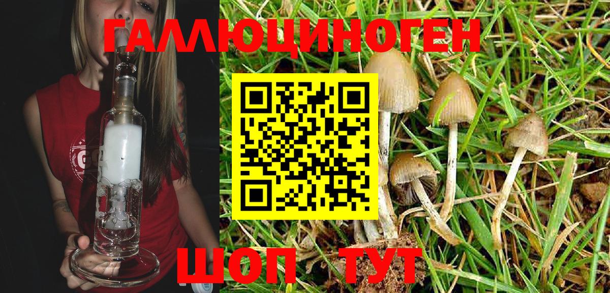 Отрадное  Галлюциногенные грибы Psilocybine cubensis  Вход с VPN 